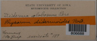 Image Associated With the Occurence
